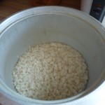 rice cooker