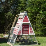 small chicken coop