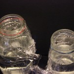 DIY Gnat Trap DIY Gnat Trap