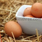 eggland's best eggs brown cage free