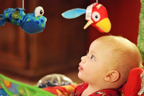 rainforest bouncer fisher price