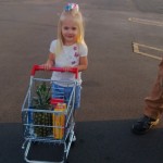 shopping cart
